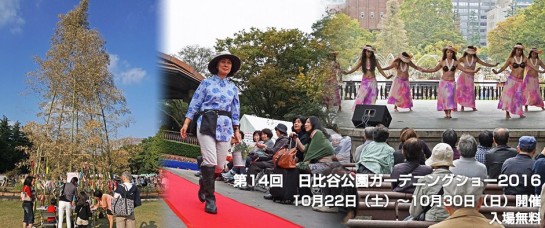 2016y04m21d_185625337